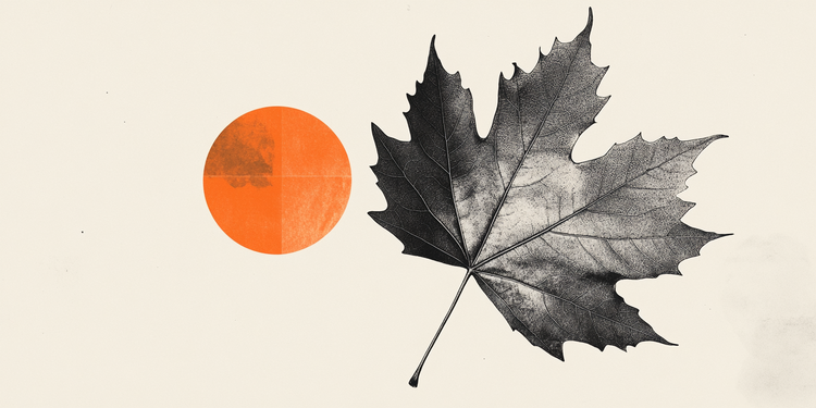 欧元/加元在1.5600上方犹豫，油价上涨支撑加元