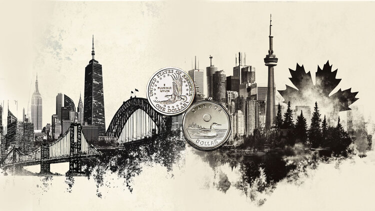 加拿大央行行长蒂夫&middot;麦克勒姆警告称，加拿大面临进一步的系统性风险，以及美元走弱