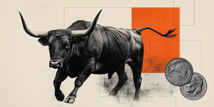 纽元/美元价格预测：在美联储会议前上涨，因美元走软